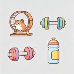 Hamster Wheels & Exercise