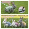 Rabbit Harness and Leash Set, Cute Vest for Small Pets, Adjustable & Escape-Proof