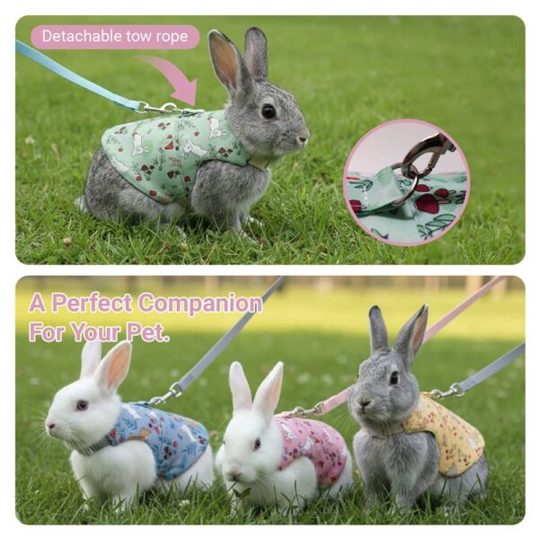 Rabbit Harness and Leash Set, Cute Vest for Small Pets, Adjustable & Escape-Proof