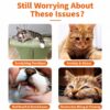 cat-toys-23-4 Cat Toys Carrot Shaped Squeaky Chew Toys Indoor Interactive Molar Fun Toys for Cats