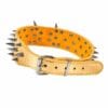dog-apparel-accessories-32-1 spiked rivet dog collar full product shot showcasing golden crocodile grain pu leather with sharp metal spikes round studs and an adjustable silver metal pin buckle