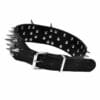 dog-apparel-accessories-32-2 bite resistant big dog collar full product shot with black crocodile textured strap fitted with silver metal spikes and a multi hole adjustable buckle