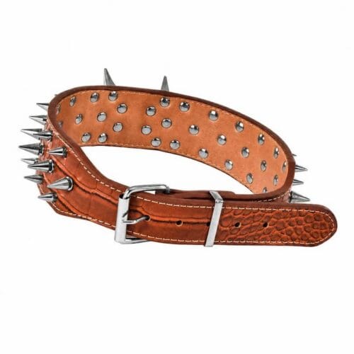 dog-apparel-accessories-32-4 studded spiked pet neck collar full product shot made of brown crocodile grain leather with silver metal spikes and heavy duty metal buckle for large breed dogs