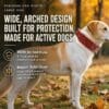 dog-apparel-accessories-32-5 wide protective dog neck strap pet lifestyle photo of a large dog wearing the red spiked stud collar standing outside on autumn fallen leaves