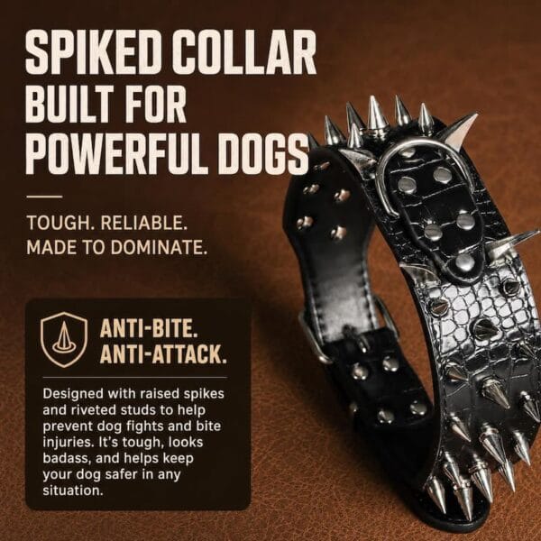 dog-apparel-accessories-32-8 anti attack studded dog collar material close up focusing on black crocodile leather raised metal spikes and reinforced rivet build for bite proof performance