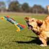 dog-toys-22-1 Dog Toy, Rainbow Candy Shaped Squeaky Rope Toy for Teeth & Interactive Play