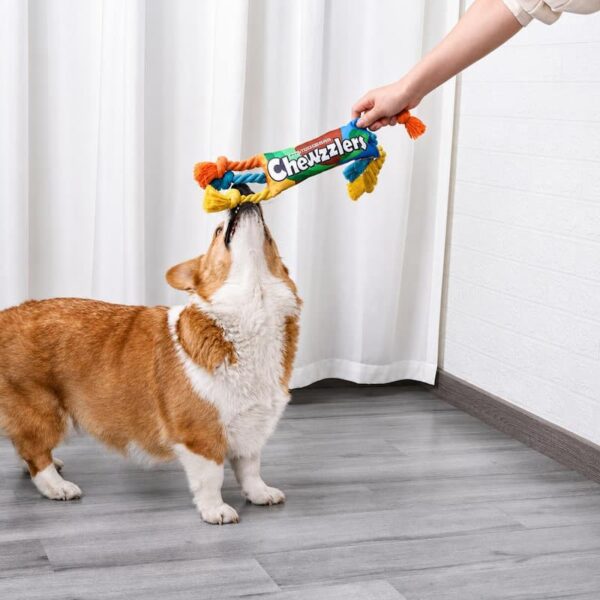 dog-toys-22-2 Dog Toy, Rainbow Candy Shaped Squeaky Rope Toy for Teeth & Interactive Play