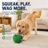 dog-toys-28-9 Dog Interactive Squeaky Ball, Durable Washable Chew Toy for Dog Teeth Cleaning & Boredom Relief