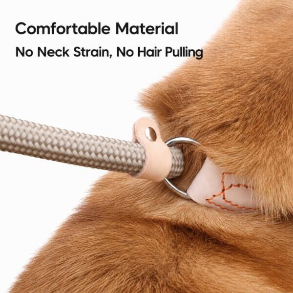travel-outings-26-3 Dog Leash No Pull P-Leash Slip Lead, Anti-Lunge Adjustable Rope for Small Medium Large Dogs