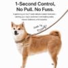 travel-outings-26-4 Dog Leash No Pull P-Leash Slip Lead, Anti-Lunge Adjustable Rope for Small Medium Large Dogs