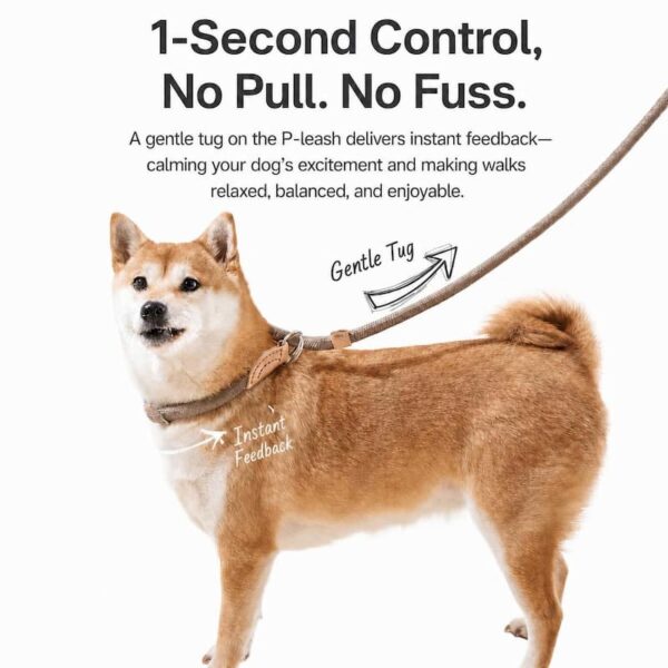 travel-outings-26-4 Dog Leash No Pull P-Leash Slip Lead, Anti-Lunge Adjustable Rope for Small Medium Large Dogs