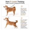 travel-outings-26-5 Dog Leash No Pull P-Leash Slip Lead, Anti-Lunge Adjustable Rope for Small Medium Large Dogs