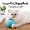 cat-toy-ball-40-1 interactive sisal cat toy ball with cat playing indoors on wooden floor living room scene