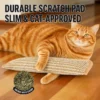 catnip-pillow-toy-for-cats-36-2 durable cat scratch pad cat using scene orange tabby cat resting paws on woven jute catnip toy wooden floor background catnip herb graphic overlay