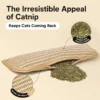 catnip-pillow-toy-for-cats-36-3 catnip filled cat cushion material feature shot open pillow revealing loose premium catnip durable woven jute texture closeup beige neutral backdrop