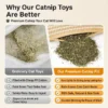 catnip-pillow-toy-for-cats-36-4 premium catnip cat toy comparison chart side by side view cheap cotton stuffed toy versus all natural catnip filled scratch cushion text detail graphics