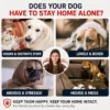 dog-rolling-squeaky-ball-toy-37-4 interactive puppy play ball problem comparison graphic showing four bad behaviors dogs have when left alone chewing destroying items loneliness anxiety messy house