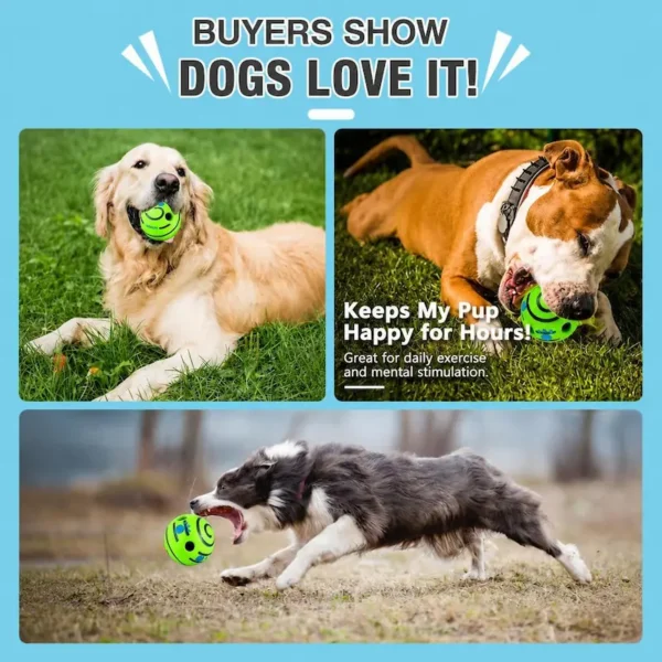dog-rolling-squeaky-ball-toy-37-5 dog rolling squeaky ball buyer real use scene three different dog breeds playing biting chasing the bright green interactive chew ball on outdoor green grass