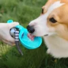 portable-dog-water-bottle-39-4 portable dog water bottle flip out bowl being used by corgi to drink fresh water outdoors