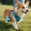 portable-dog-water-bottle-39-8 portable dog water bottle with flip out bowl clipped on corgi harness while walking on green grass